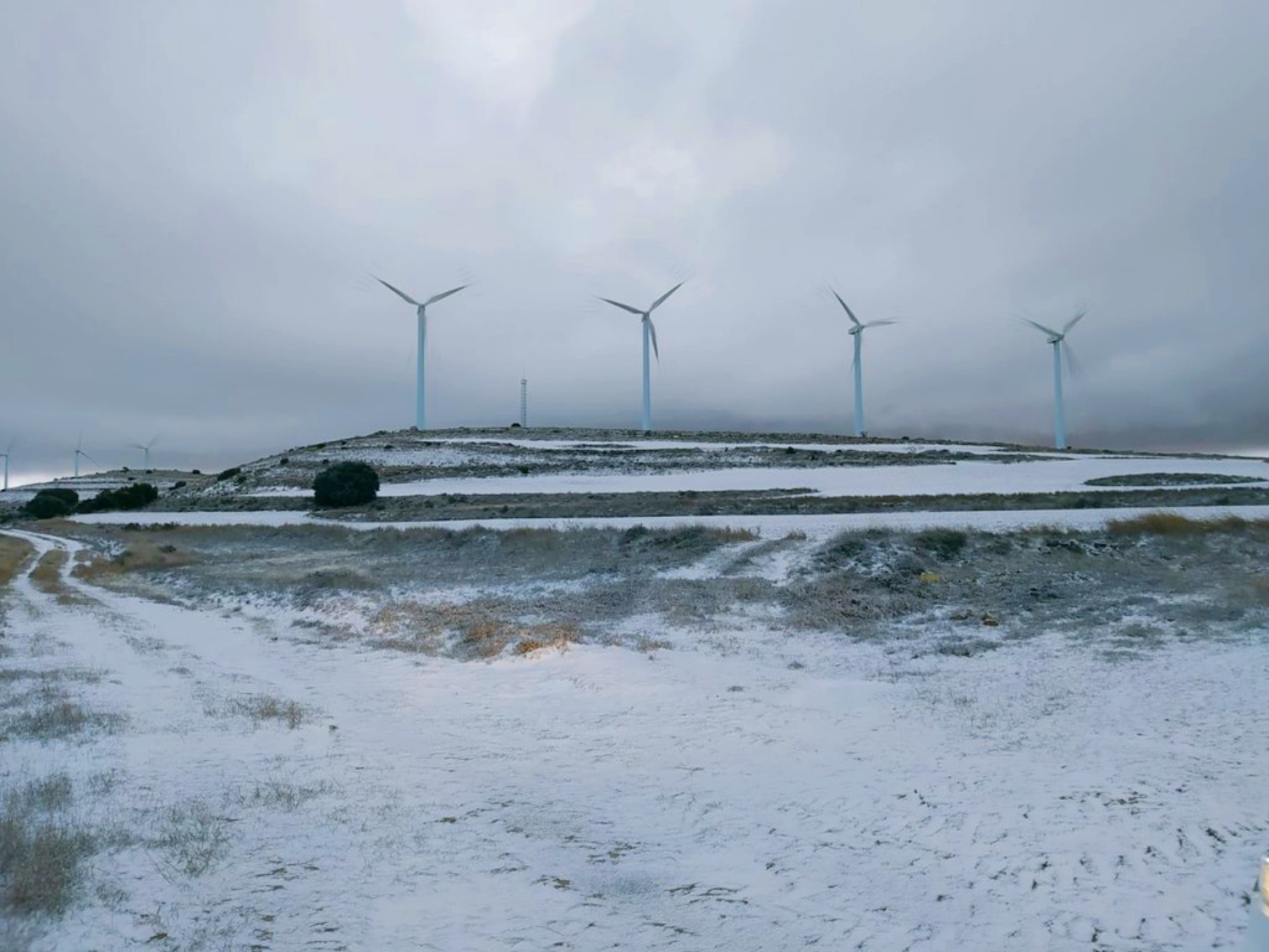 noticias provincia albacete