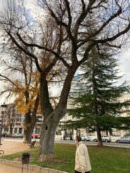 noticias albacete