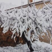 noticias provincia albacete