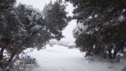 noticias albacete