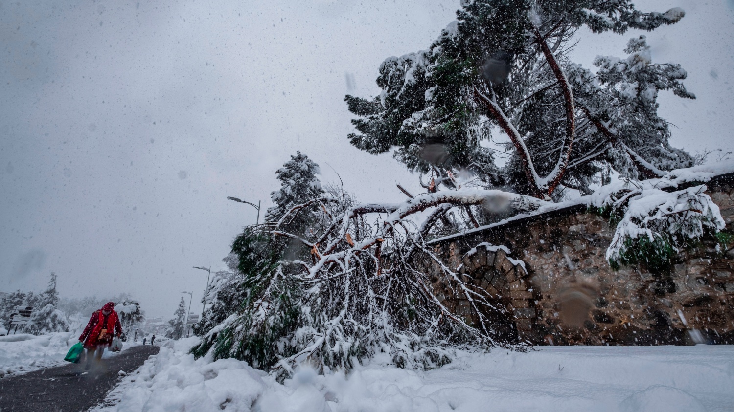 noticias castilla-la mancha