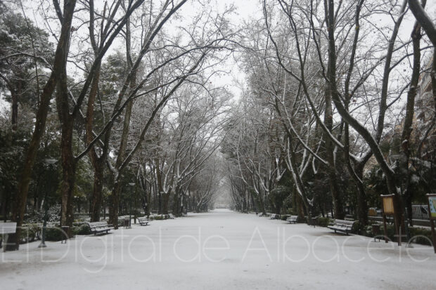 noticias albacete