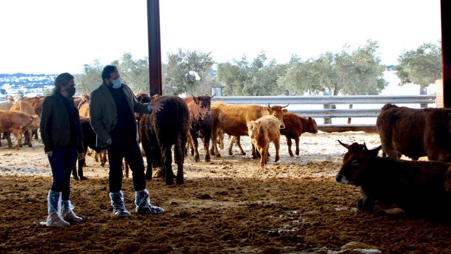 noticias castilla-la mancha