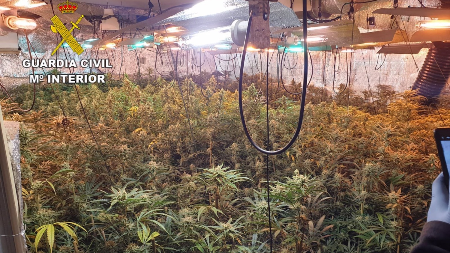 noticias castilla-la mancha