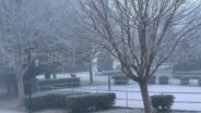 noticias albacete