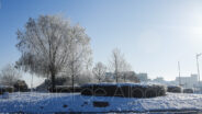 noticias albacete
