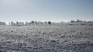 noticias albacete