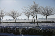 noticias albacete