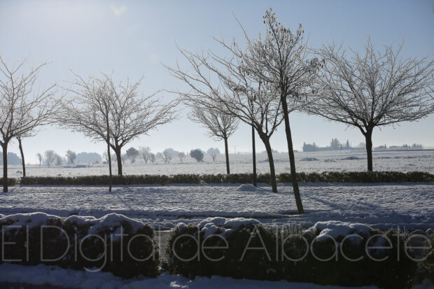 noticias albacete