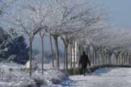 noticias albacete