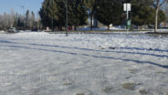 noticias albacete