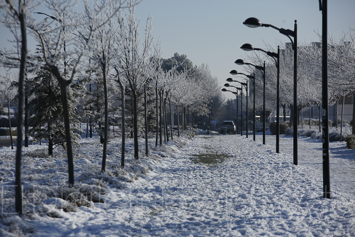 noticias albacete