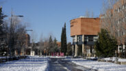 noticias albacete