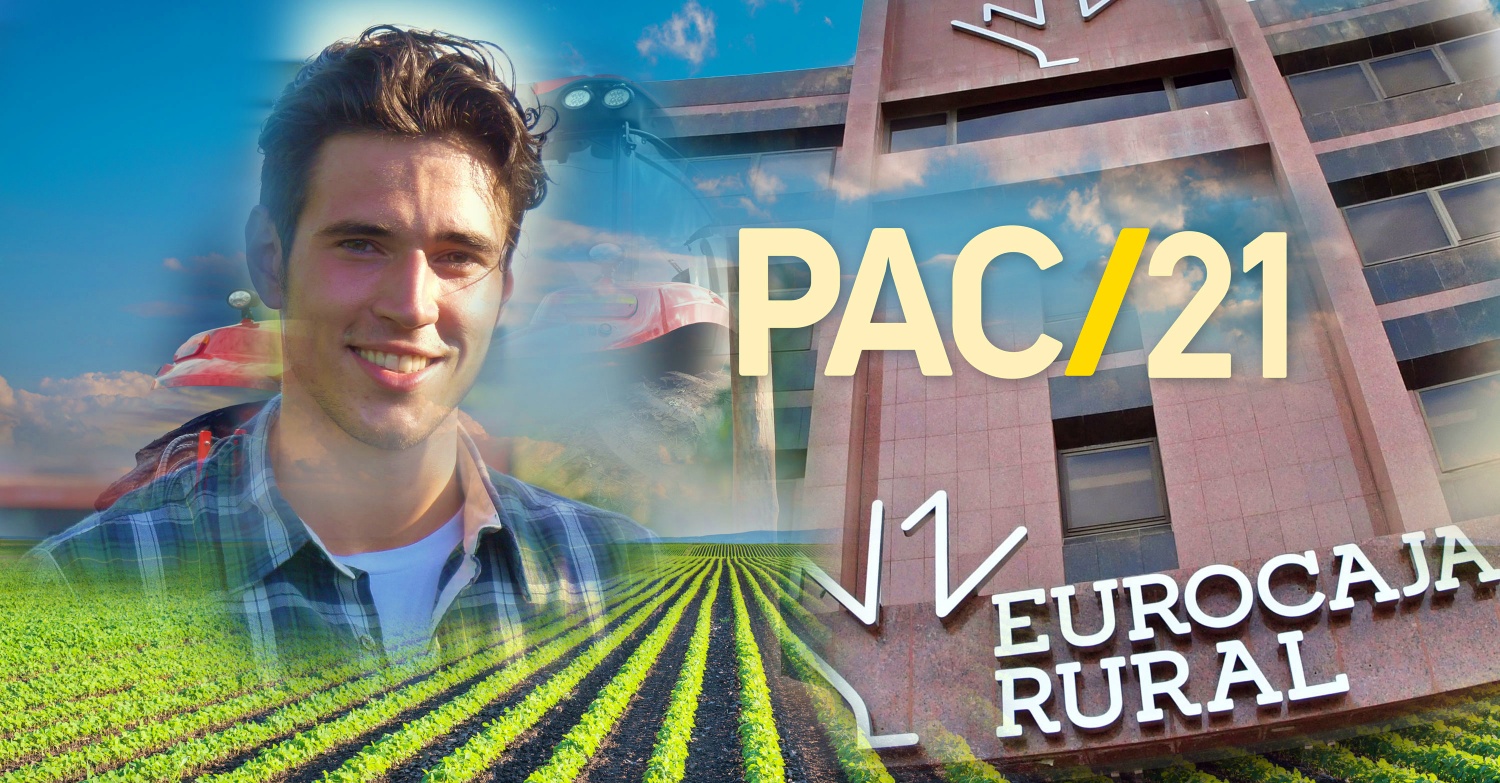noticias castilla-la mancha
