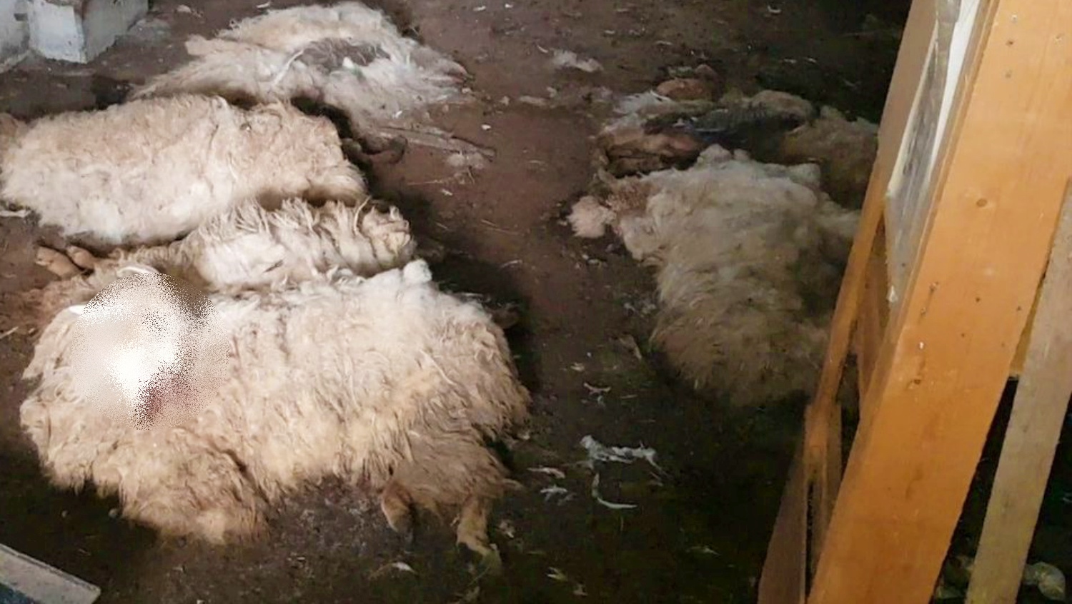 noticias castilla-la mancha