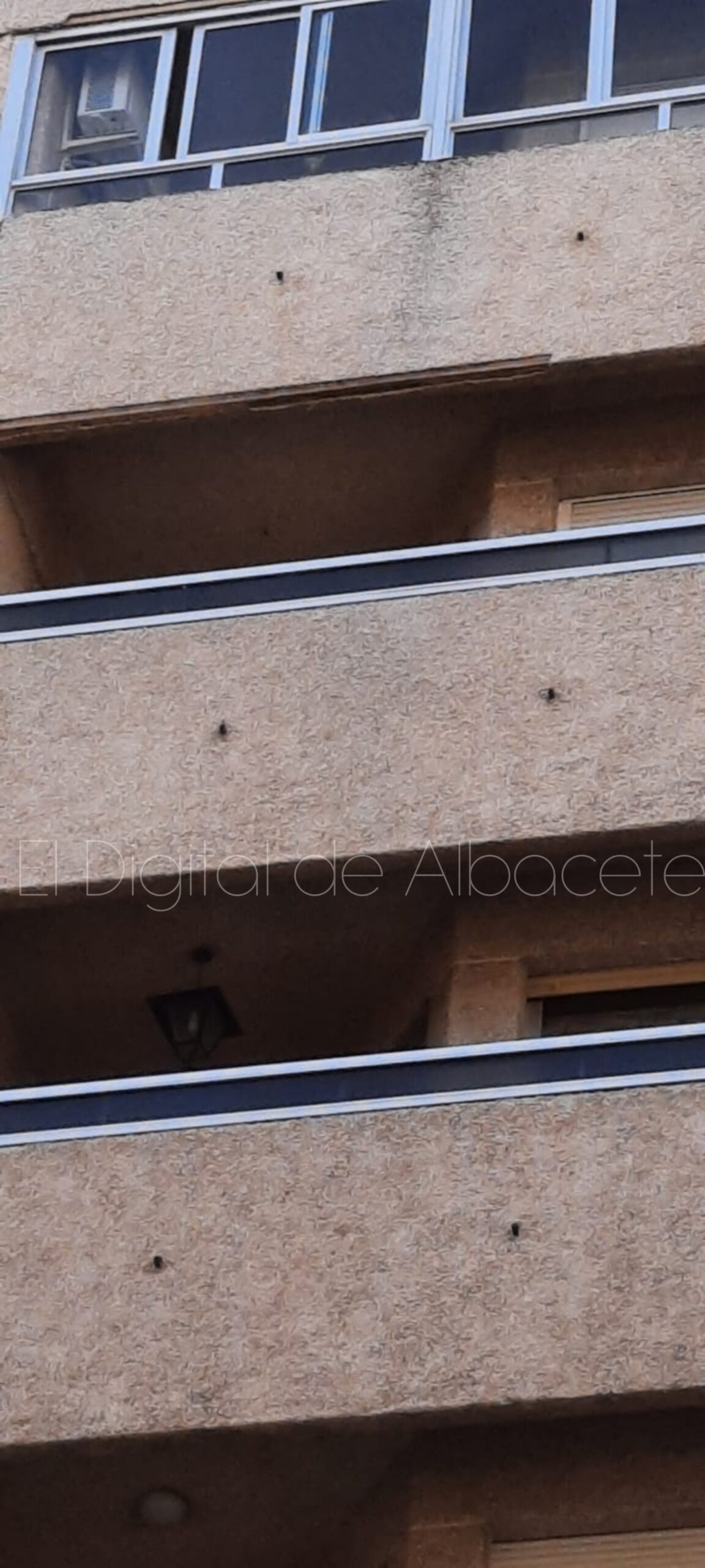 noticias albacete
