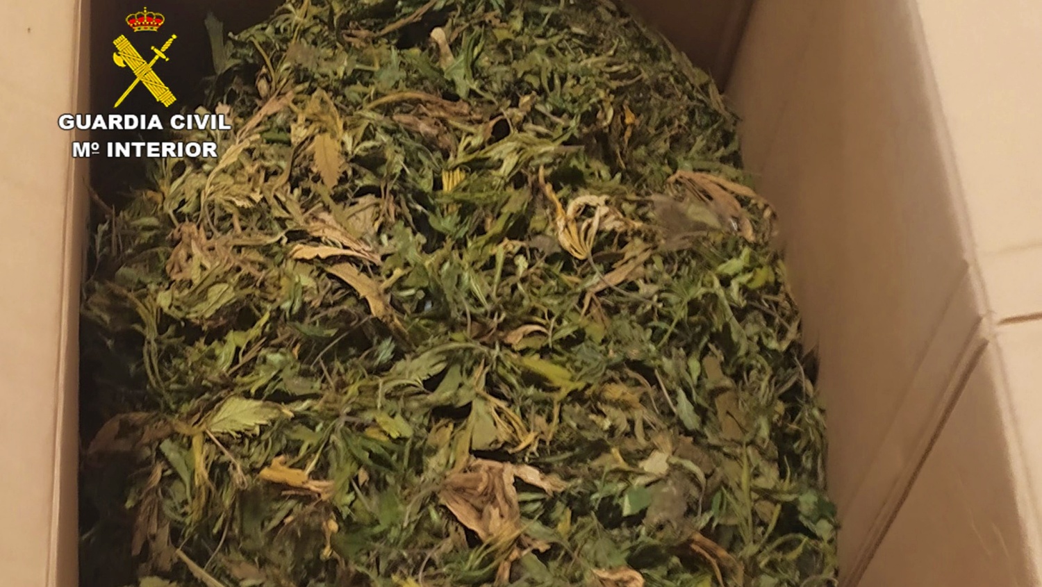 noticias castilla-la mancha