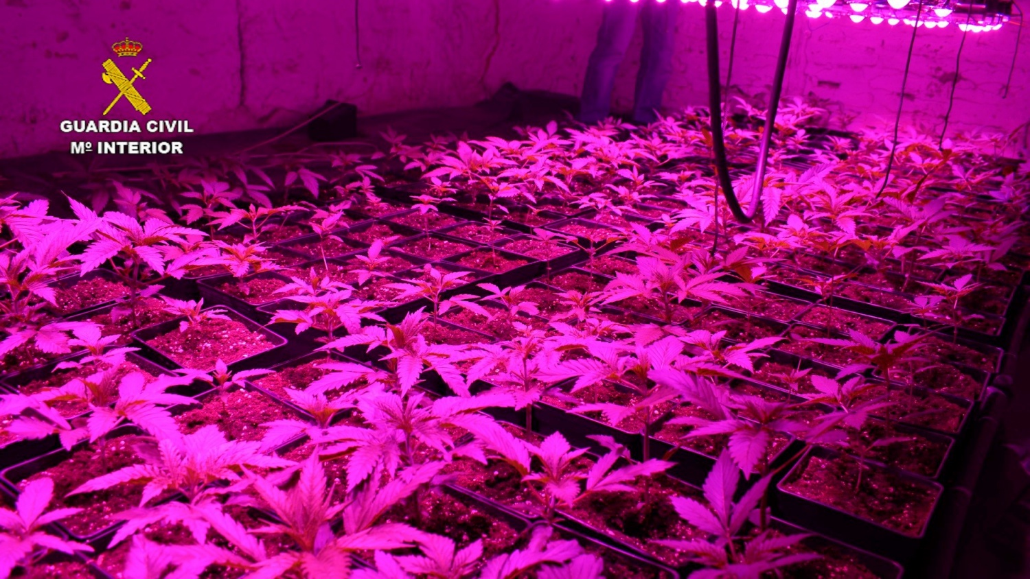 noticias castilla-la mancha