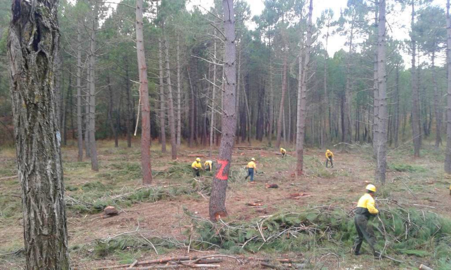 noticias provincia albacete