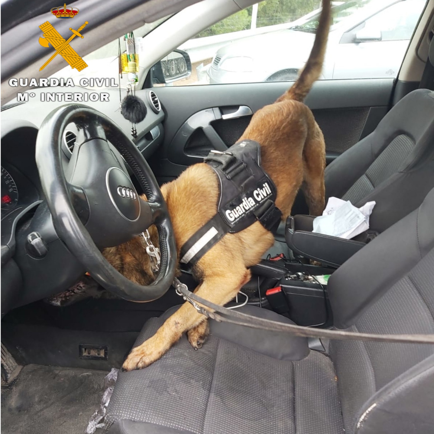 noticias provincia albacete