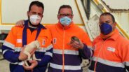 noticias albacete
