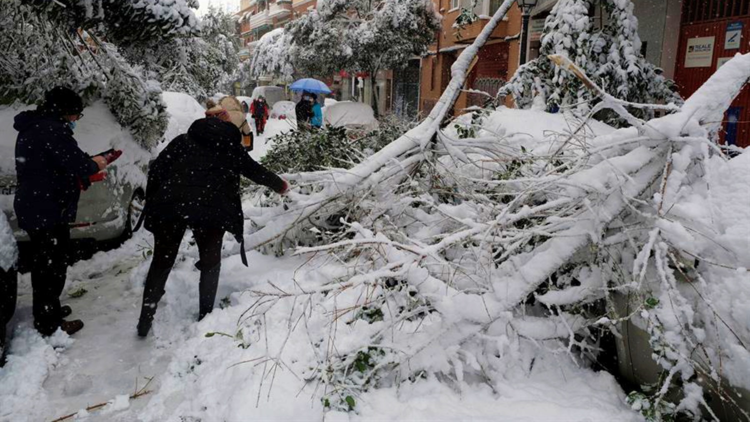 noticias albacete