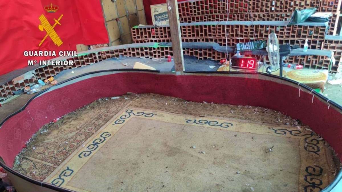 noticias castilla-la mancha