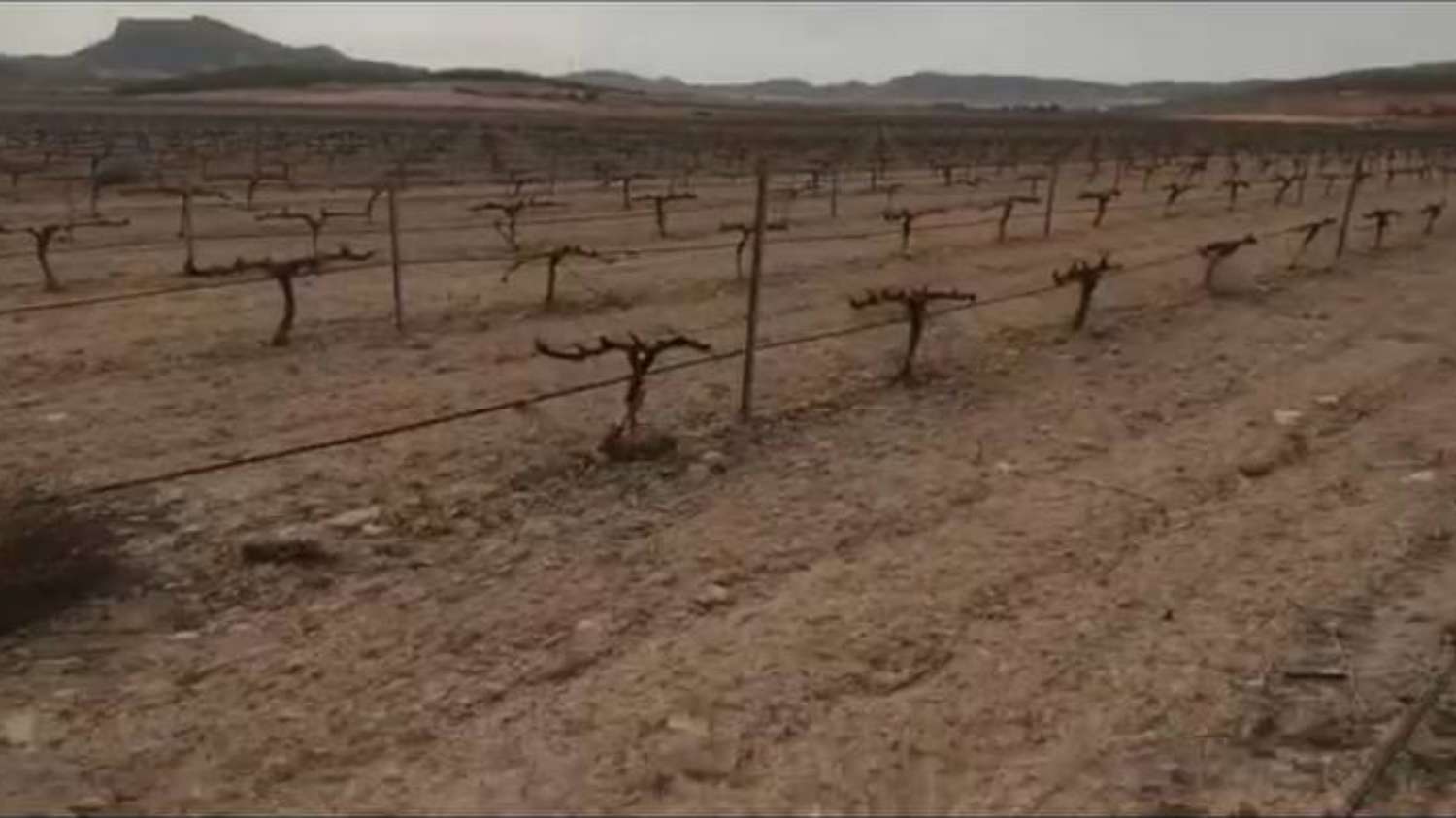noticias provincia Albacete