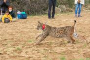 noticias castilla-la manchaa
