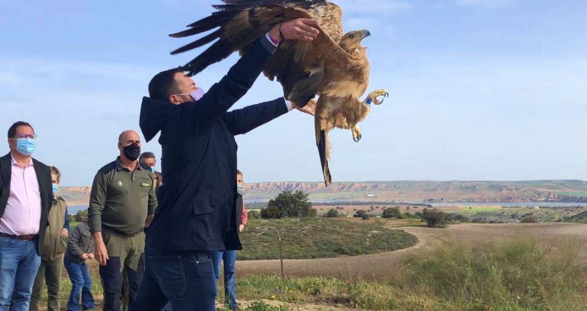 noticias castilla-la mancha