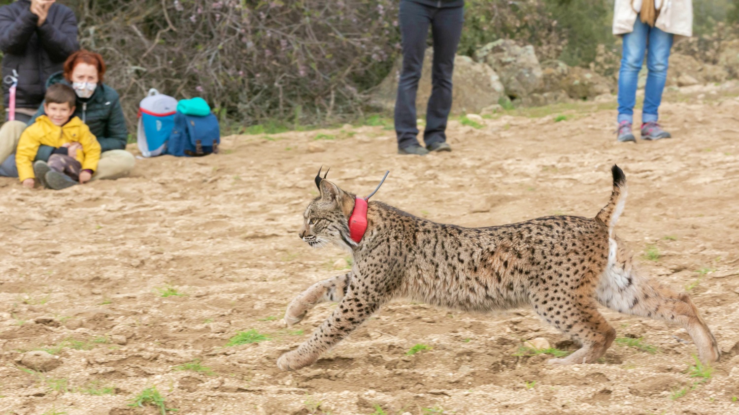 noticias castilla-la manchaa