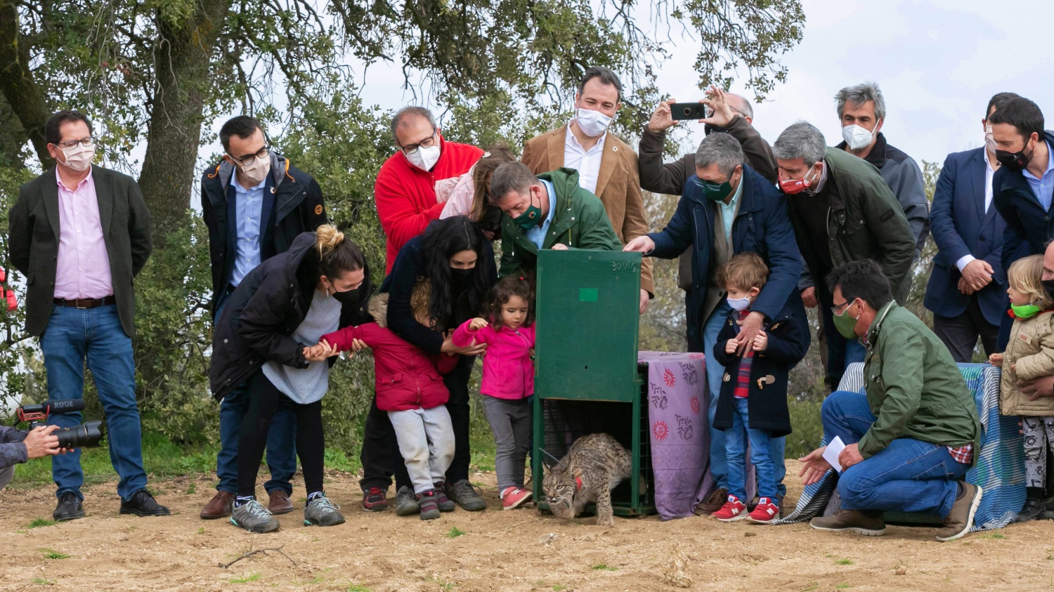 noticias castilla-la manchaa