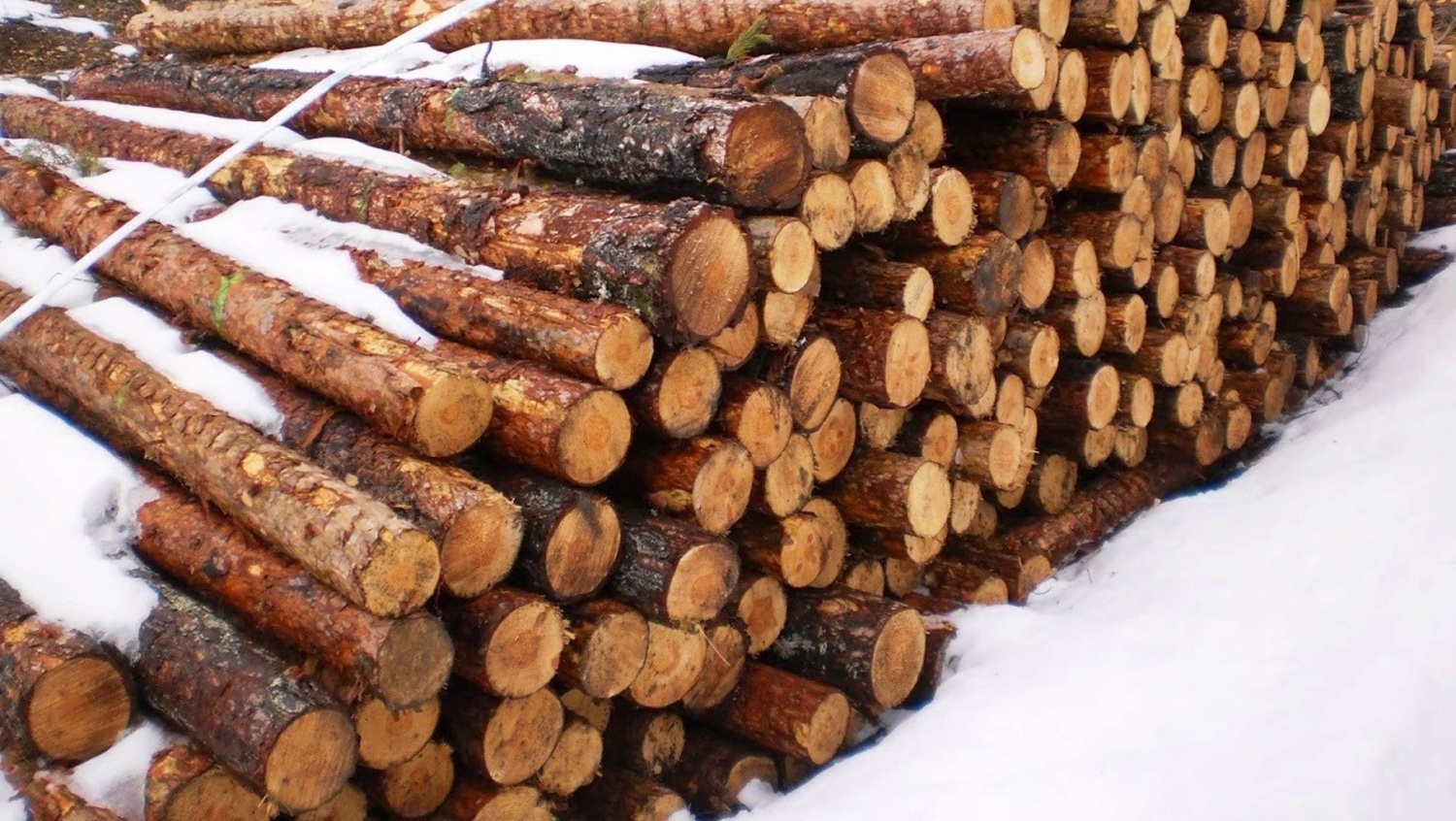 noticias castilla-la mancha