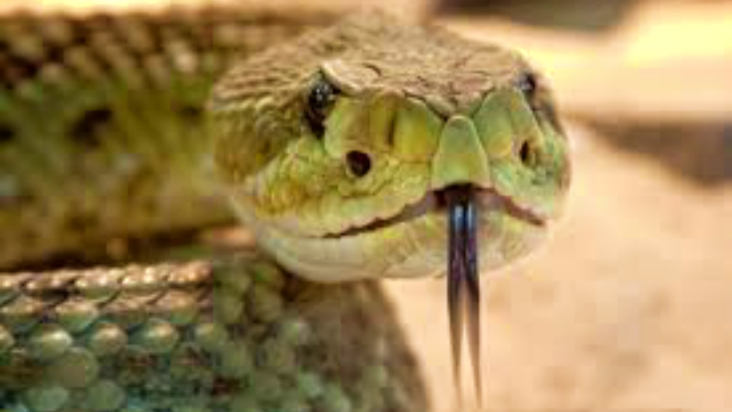 noticias castilla-la mancha