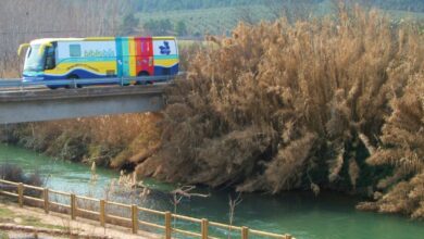 noticias provincia albacete