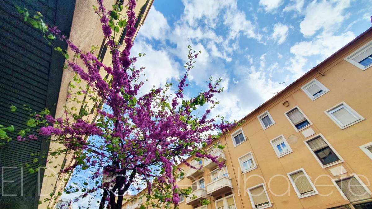 noticias albacete