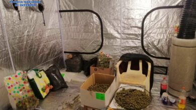 noticias castilla-la mancha