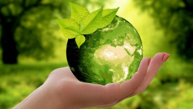 noticias castilla-la mancha