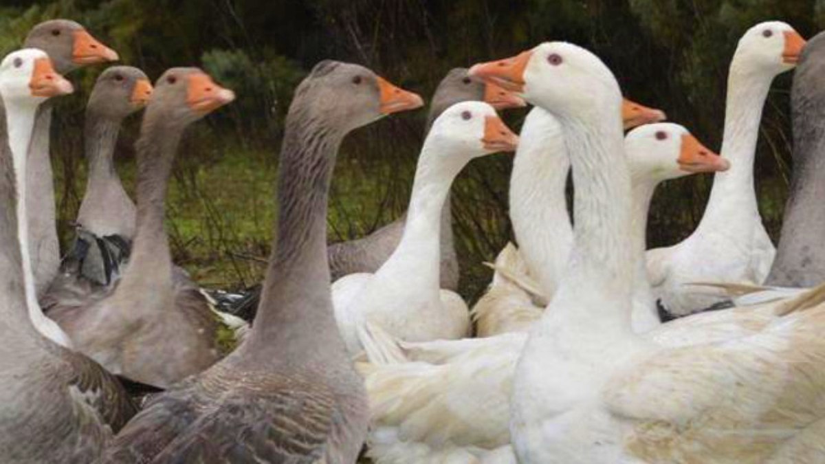 noticias castilla-la mancha