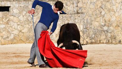 noticias albacete