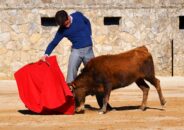 noticias albacete