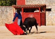 noticias albacete