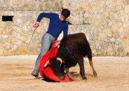 noticias albacete