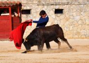 noticias albacete