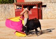 noticias albacete