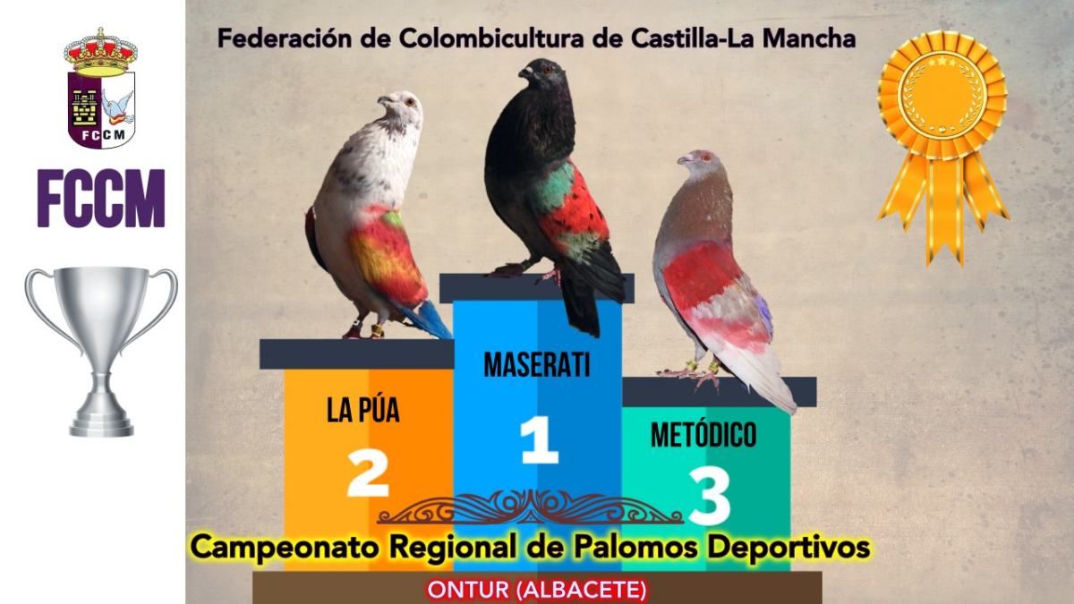 Noticias provincia albacete
