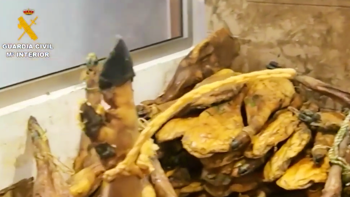 noticias castilla-la mancha