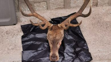 noticias castilla-la mancha