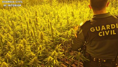 noticias castilla-la mancha