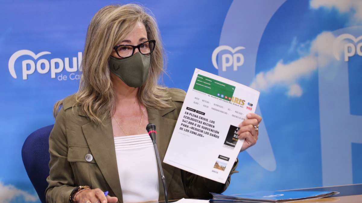 noticias pp